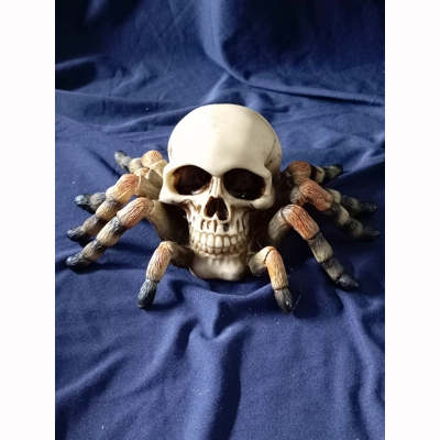Skull with Spider legs