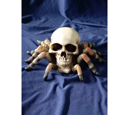 Skull with Spider legs