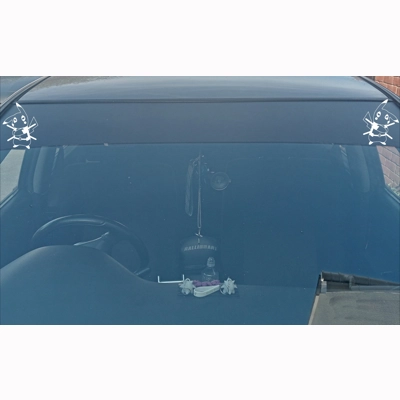 Deadchu Pikapool Sunstrip