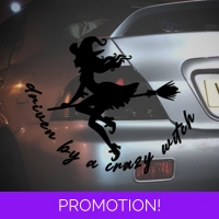 Driven By A Crazy Witch Sticker