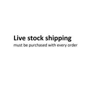 Same Day Live stock shipping