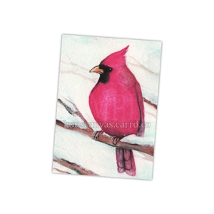 'cardinalis cardinalis' print