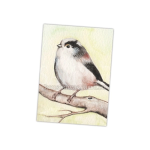 'aegithalos caudatus' print