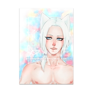 butterflies print