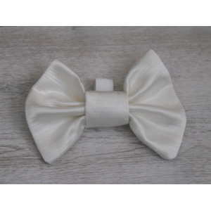 Shiny Ivory Medium Size