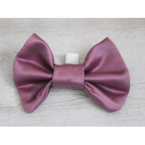 Shiny Amethyst Colour Medium Size