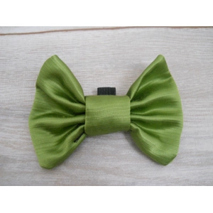Shiny Green Medium Size