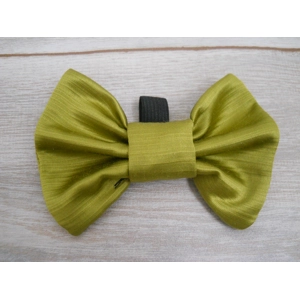 Shiny Gold Green Medium Size