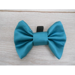 Shiny Blue Medium Size