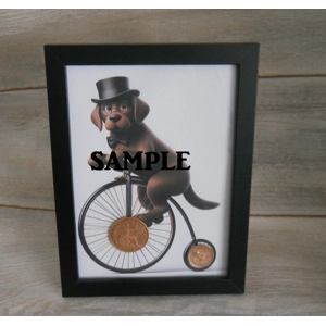 Picture of a Chocolate Labrador Dog Riding A Penny Farthing Bike Old Penny & Farthing Coins