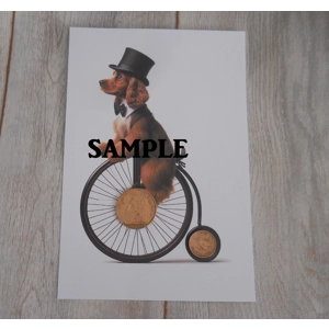 Picture of a Cocker Spaniel  Dog Riding A Penny Farthing Bike Old Penny & Farthing Coins