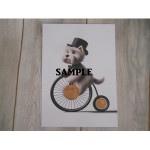 Picture of a Westie Dog Riding A Penny Farthing Bike Old Penny & Farthing Coins