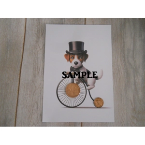 Picture of a Jack Russell Dog Riding A Penny Farthing Bike Old Penny & Farthing Coins