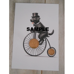 Picture of a Black Labrador Dog Riding A Penny Farthing Bike Old Penny & Farthing Coins