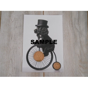 Picture of a Black Cocker Spaniel Dog Riding A Penny Farthing Bike Old Penny & Farthing Coins