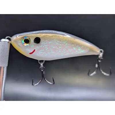 Winter Shad