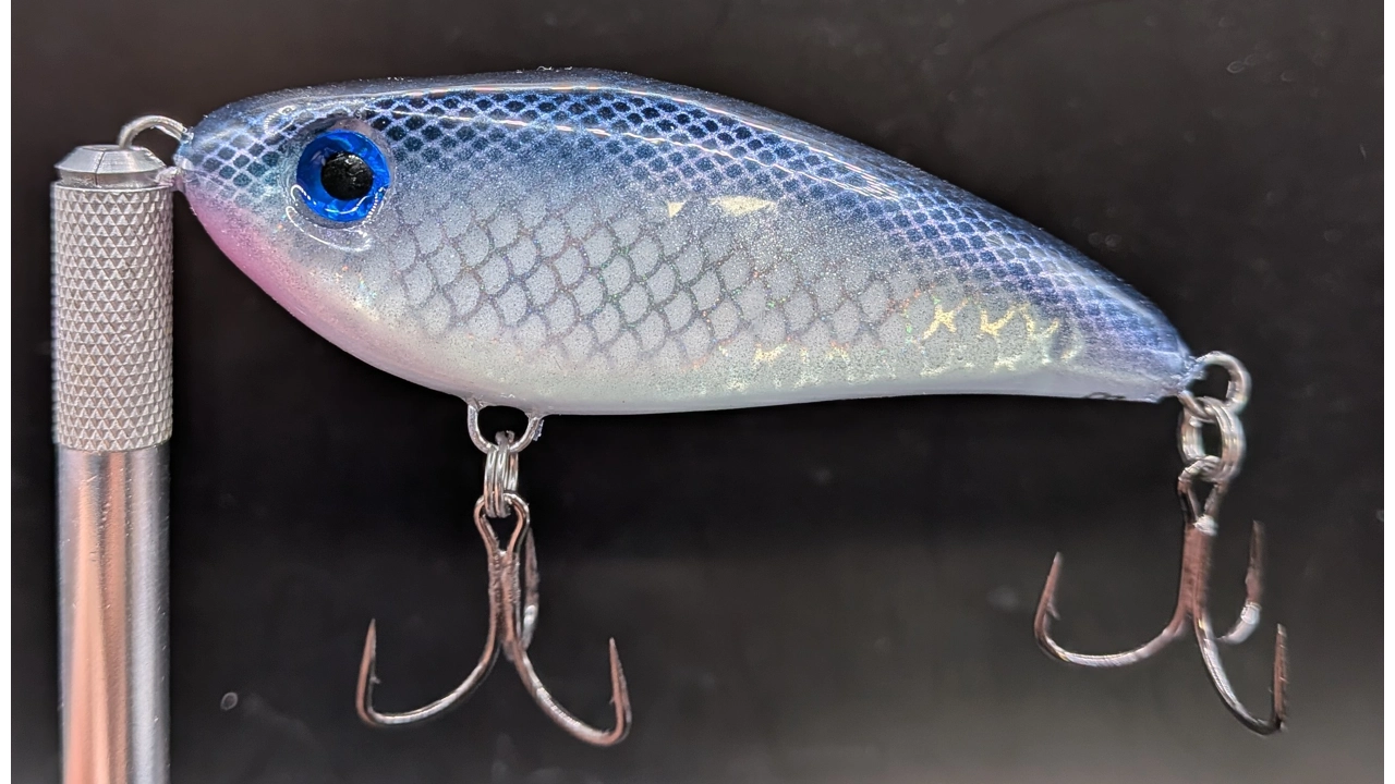 Blue Shad