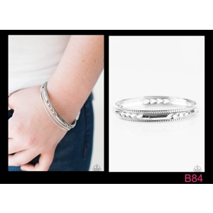 B84 - Amazon Warrior Silver