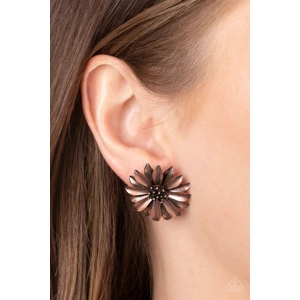 E91 - Daisy Dilemma - copper