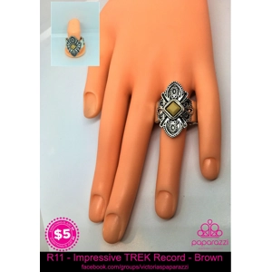 R11 - Impressive TREK Record - Brown