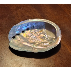 Abalone Shell