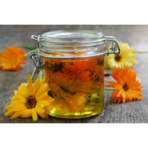 Calendula Infused Oil
