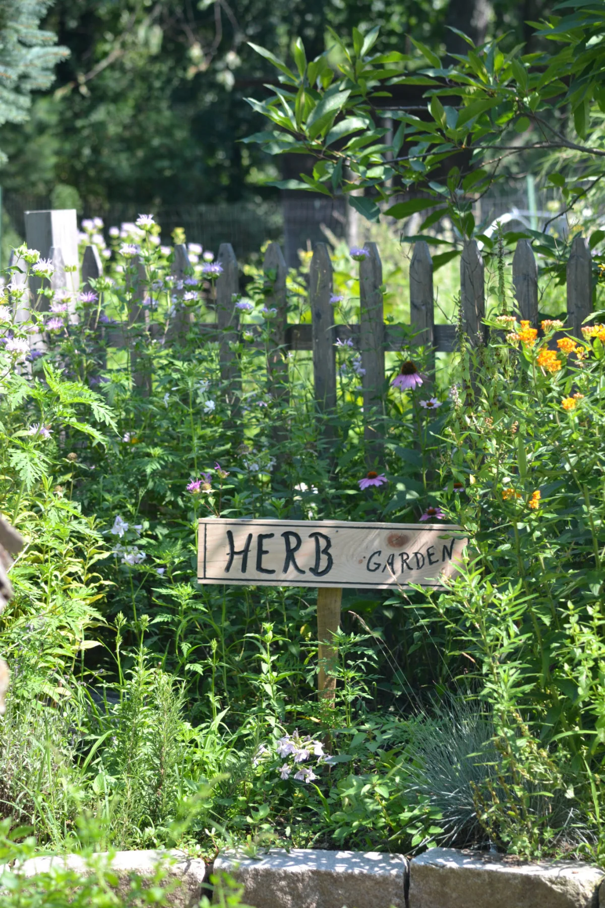 Growing Your Own Herb Garden