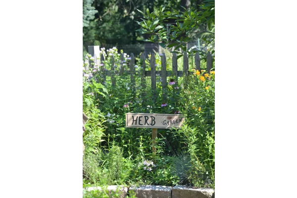 Growing Your Own Herb Garden