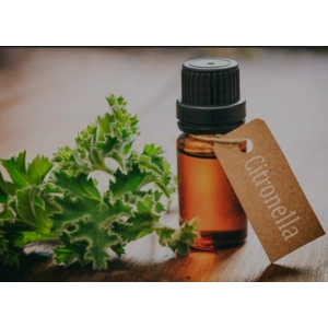 Essential Oil-Citronella