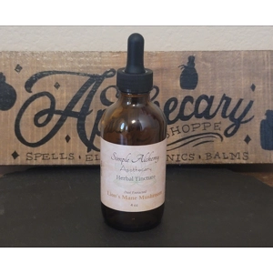 Lion's Mane Mushroom Extract