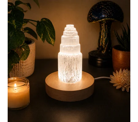 Selenite Crystal Lamp