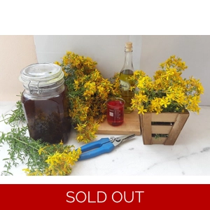 St. John's Wort Infused Oil