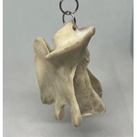 Bone Pendant