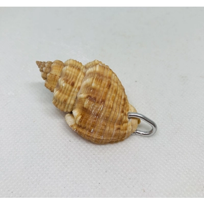 Shell pendant