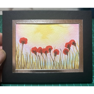 Sun Rise Poppies