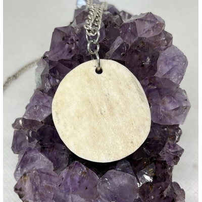 Bone Disc