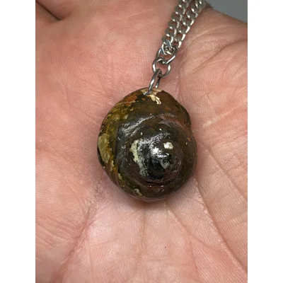 Shell
