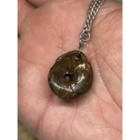 Shell