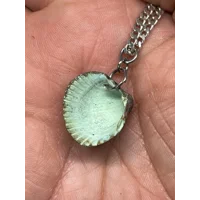 Shell