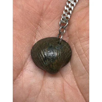 Shell