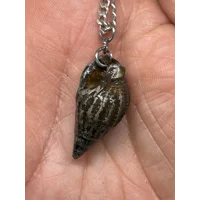 Shell