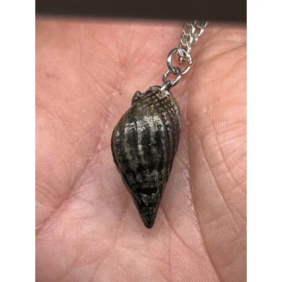 Shell