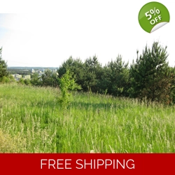 Dream plots from £1,500 Free info!