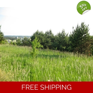 Dream plots from £1,500 Free info!