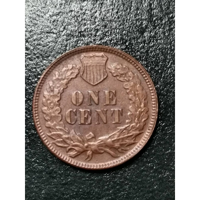 INDIAN HEAD cent USA 1860 Seltene Variante!