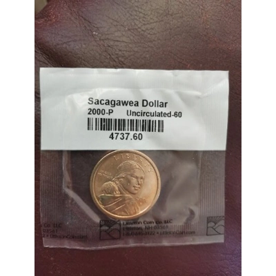 1 Dollar Sagagawea 2000-P UNC Bankfrisch in Folie MS-60 1 Dollar Sagagawea 2000-P UNC Bankfrisch in Folie MS-60