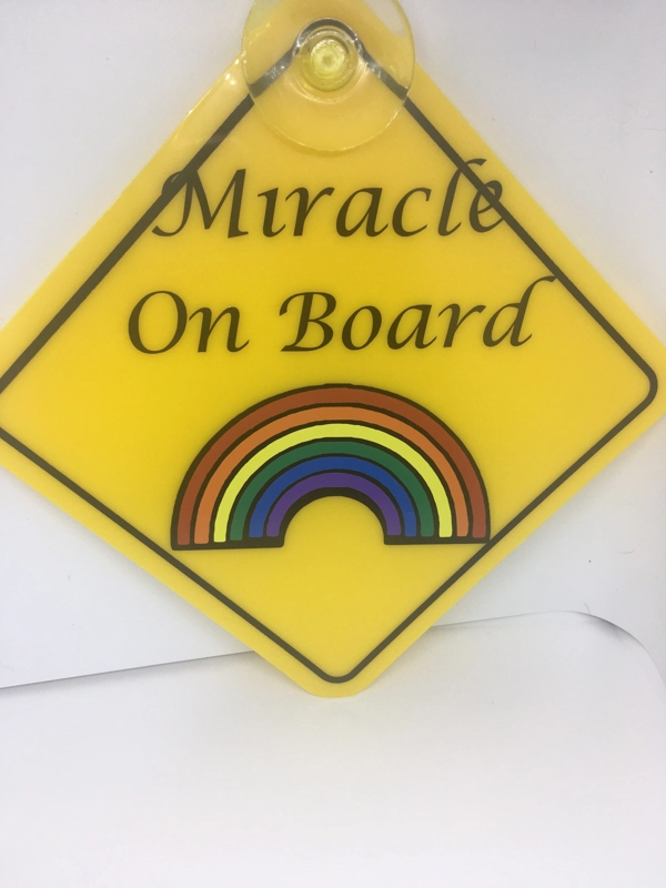 Car Sign with Suction Cup and added Vinyl Baby on Board