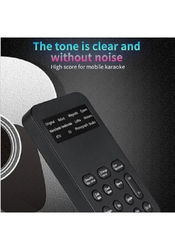 Voice Changer