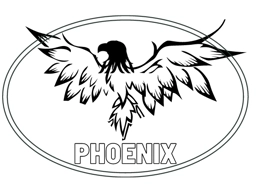  Pheonix Apollo Aircraft panel