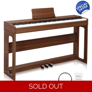 88 Key Fully Weighted Digital Piano